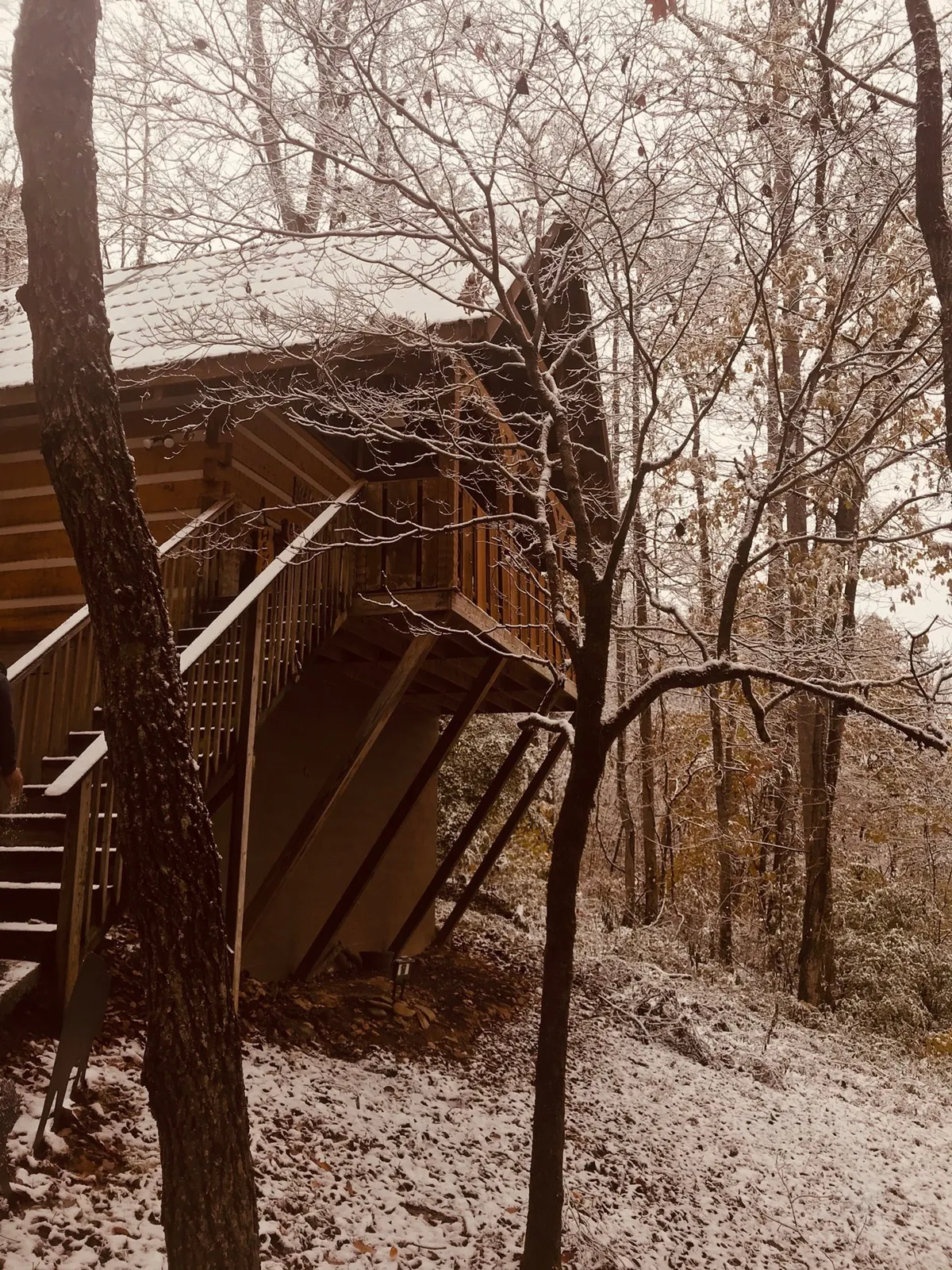 This image captures the log cabin with a snow-covered roof, surrounded by trees in a peaceful winter landscape. The scene evokes tranquility and a sense of being immersed in nature, with soft snowfall settling on the ground and the rustic cabin inviting you to step inside after a day of outdoor adventure.