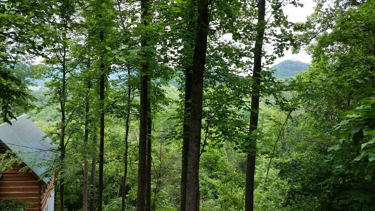This image features a serene mountain view framed by tall trees and the roof of a cabin, suggesting a sense of seclusion and immersion in nature. The soft light evokes tranquility, perfect for a romantic retreat.